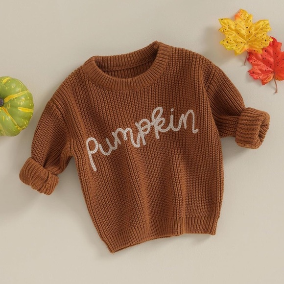 Warm Infant Toddler Fall Sweater Embroidered - Picture 2 of 2